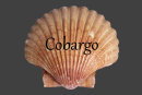 wave_cottage-pt3-2021005010.jpg
